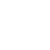Own New logo